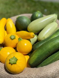 Summer Squash