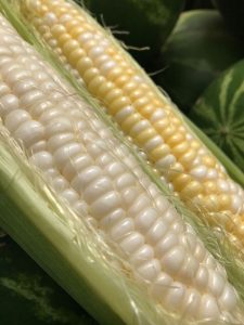 Sweet Corn White