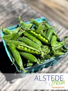 Alstede Fresh Shelling Peas