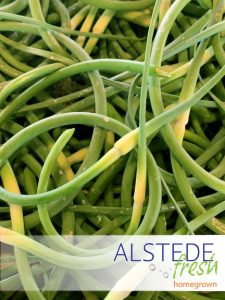 Alstede Fresh Garlic Scapes