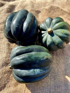 Alstede Fresh acorn squash