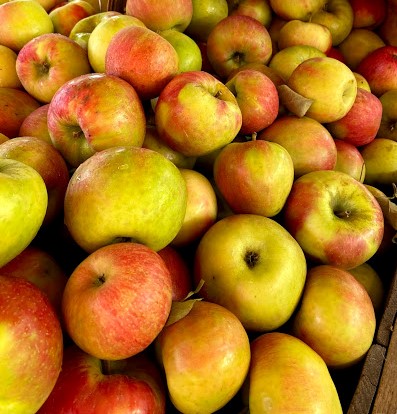 Honeycrisp Apples Per Lb Alstede Farms Nj