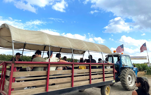 Farm Tours at Alstede Farms